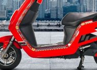Selis E-Max Long Range